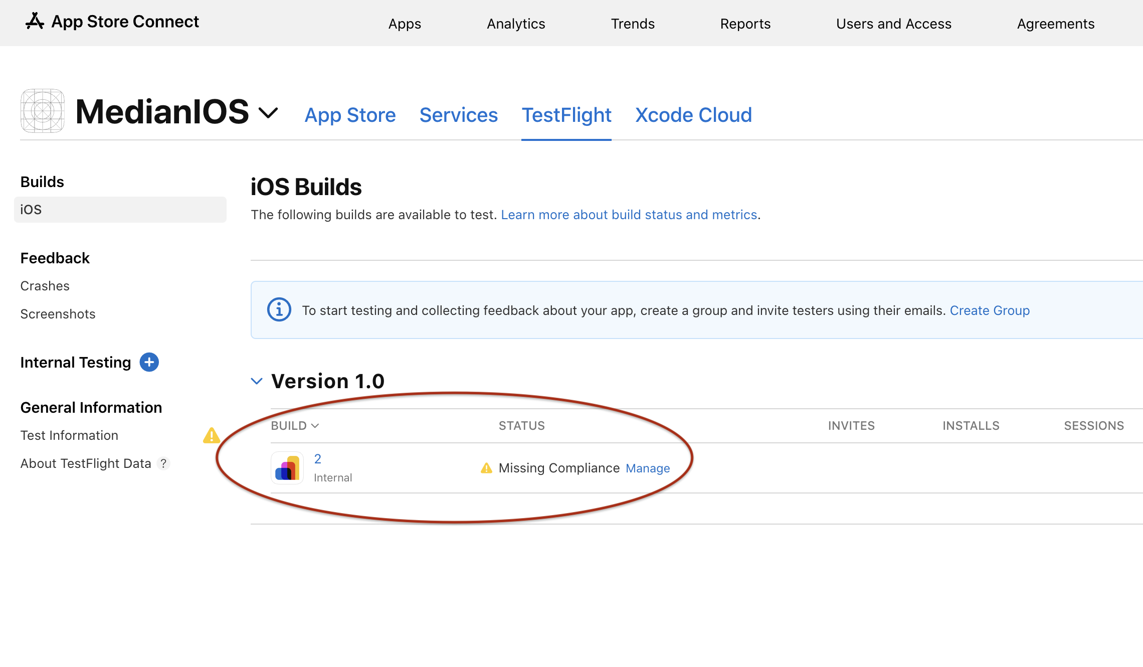 Figure 8: App Store Connect - TestFlight